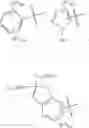 Fig. 05 - Bicyclo[2.2.2]acid GPR120 modulators