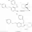 Fig. 33 - 1,2,6-substituted benzimidazoles as flap modulators
