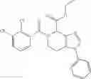 Fig. 122 - P2X7 modulators and methods of use