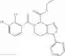 Fig. 124 - P2X7 modulators and methods of use