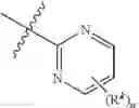 Fig. 21 - P2X7 modulators and methods of use