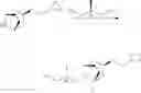 Fig. 16 - Muscarinic agonists
