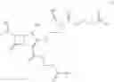 Fig. 09 - Meropenem derivatives and uses thereof