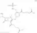 Fig. 22 - Meropenem derivatives and uses thereof