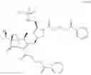 Fig. 23 - Meropenem derivatives and uses thereof