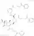 Fig. 25 - Meropenem derivatives and uses thereof