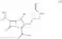 Fig. 30 - Meropenem derivatives and uses thereof