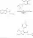 Fig. 14 - Imidazopyridazine compounds