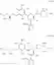 Fig. 57 - CARM1 inhibitors and uses thereof