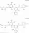 Fig. 59 - CARM1 inhibitors and uses thereof