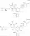Fig. 62 - CARM1 inhibitors and uses thereof