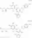Fig. 63 - CARM1 inhibitors and uses thereof