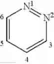 Fig. 16 - P2X7 modulators
