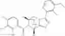 Fig. 182 - P2X7 modulators