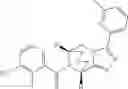 Fig. 207 - P2X7 modulators