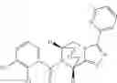 Fig. 210 - P2X7 modulators