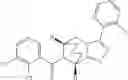 Fig. 216 - P2X7 modulators