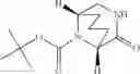 Fig. 229 - P2X7 modulators