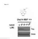 Fig. 13 - Tricyclic proteasome activity enhancing compounds