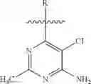 Fig. 47 - Pyrimidine compounds and pyrimido indole compounds and methods of use