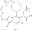Fig. 09 - Inhibitors of human immunodeficiency virus replication