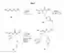 Fig. 04 - Arginase inhibitors and methods of use thereof