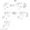 Fig. 08 - Arginase inhibitors and methods of use thereof