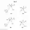 Fig. 11 - Arginase inhibitors and methods of use thereof