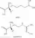 Fig. 23 - Arginase inhibitors and methods of use thereof