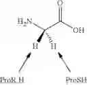 Fig. 24 - Arginase inhibitors and methods of use thereof
