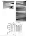 Fig. 06 - THERAPEUTIC USES OF BISPHOSPHONATES