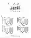 Fig. 10 - THERAPEUTIC USES OF BISPHOSPHONATES