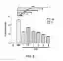 Fig. 11 - THERAPEUTIC USES OF BISPHOSPHONATES