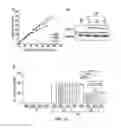 Fig. 19 - THERAPEUTIC USES OF BISPHOSPHONATES