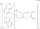 Fig. 459 - Metal-based coordination complexes as photodynamic compounds and their use