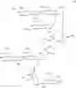 Fig. 17 - Steviol glycosides, their compositions and their purification