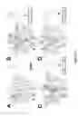 Fig. 05 - Antibacterial compounds targeting isoprenoid biosynthesis