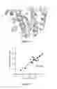 Fig. 11 - Antibacterial compounds targeting isoprenoid biosynthesis