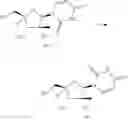 Fig. 173 - SUBSTITUTED NUCLEOSIDES, NUCLEOTIDES AND ANALOGS THEREOF