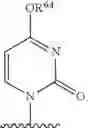 Fig. 69 - SUBSTITUTED NUCLEOSIDES, NUCLEOTIDES AND ANALOGS THEREOF
