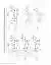 Fig. 18 - Substituted nucleosides, nucleotides and analogs thereof
