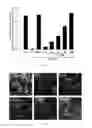 Fig. 04 - 2β,3α,5α-trihydroxy-androst-6-one and preparation methods and use thereof