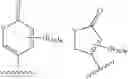 Fig. 19 - Certain steroids and methods for using the same in the treatment of cancer