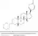 Fig. 44 - Certain steroids and methods for using the same in the treatment of cancer
