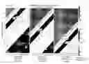 Fig. 03 - Purification method for vitamin K dependent proteins by anion exchange chromatography