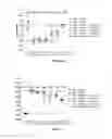 Fig. 05 - COMPOSITIONS AND METHODS OF USING ISLET NEOGENESIS PEPTIDES AND ANALOGS THEREOF