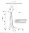 Fig. 24 - Polypeptides that bound to IL-23 receptor and inhibit binding of IL-23 and cell signaling thereof