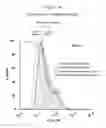 Fig. 25 - Polypeptides that bound to IL-23 receptor and inhibit binding of IL-23 and cell signaling thereof
