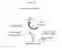 Fig. 47 - Polypeptides that bound to IL-23 receptor and inhibit binding of IL-23 and cell signaling thereof