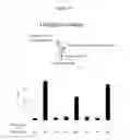 Fig. 53 - Polypeptides that bound to IL-23 receptor and inhibit binding of IL-23 and cell signaling thereof